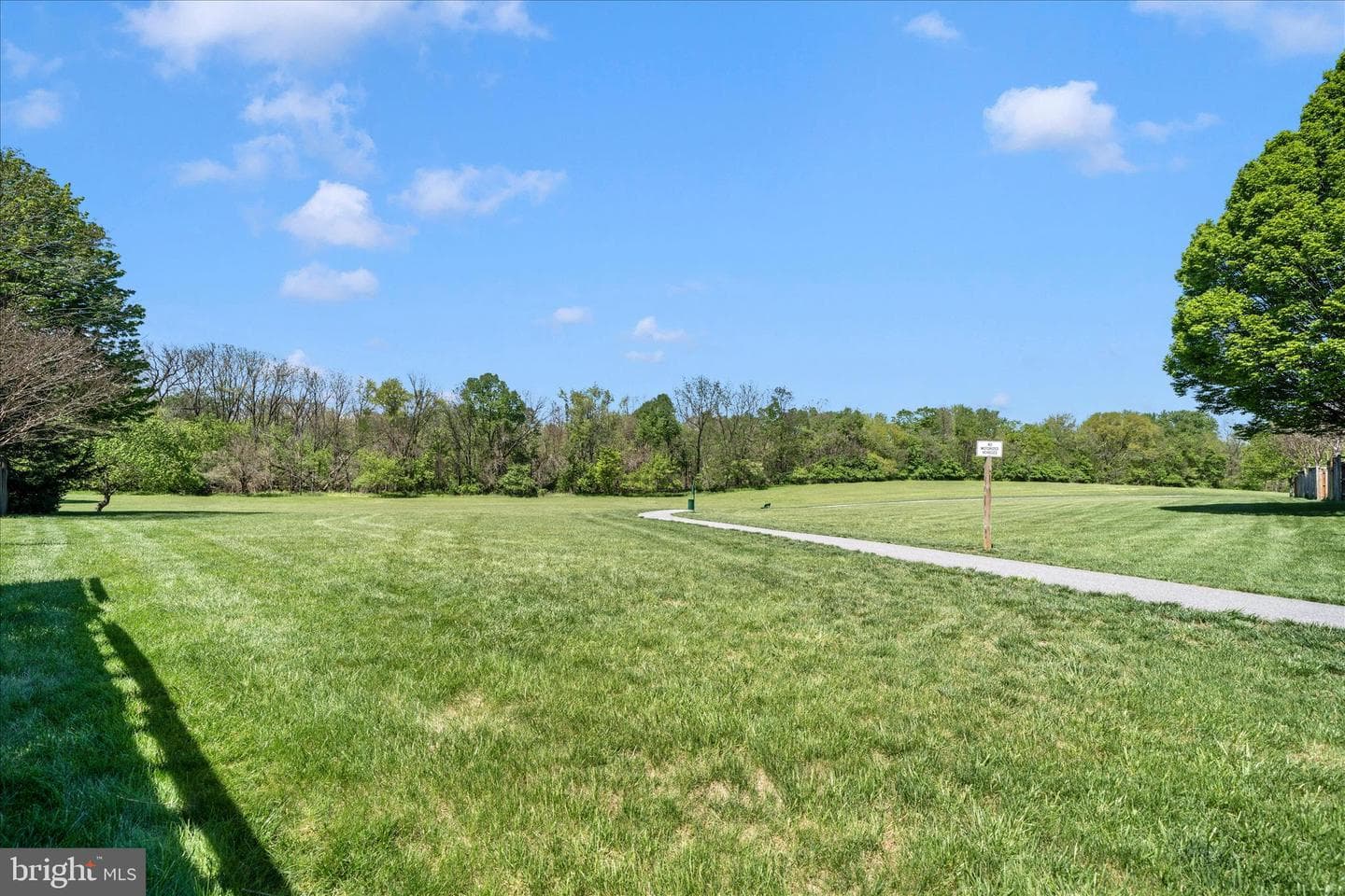 8286 Waterside Court photo 42