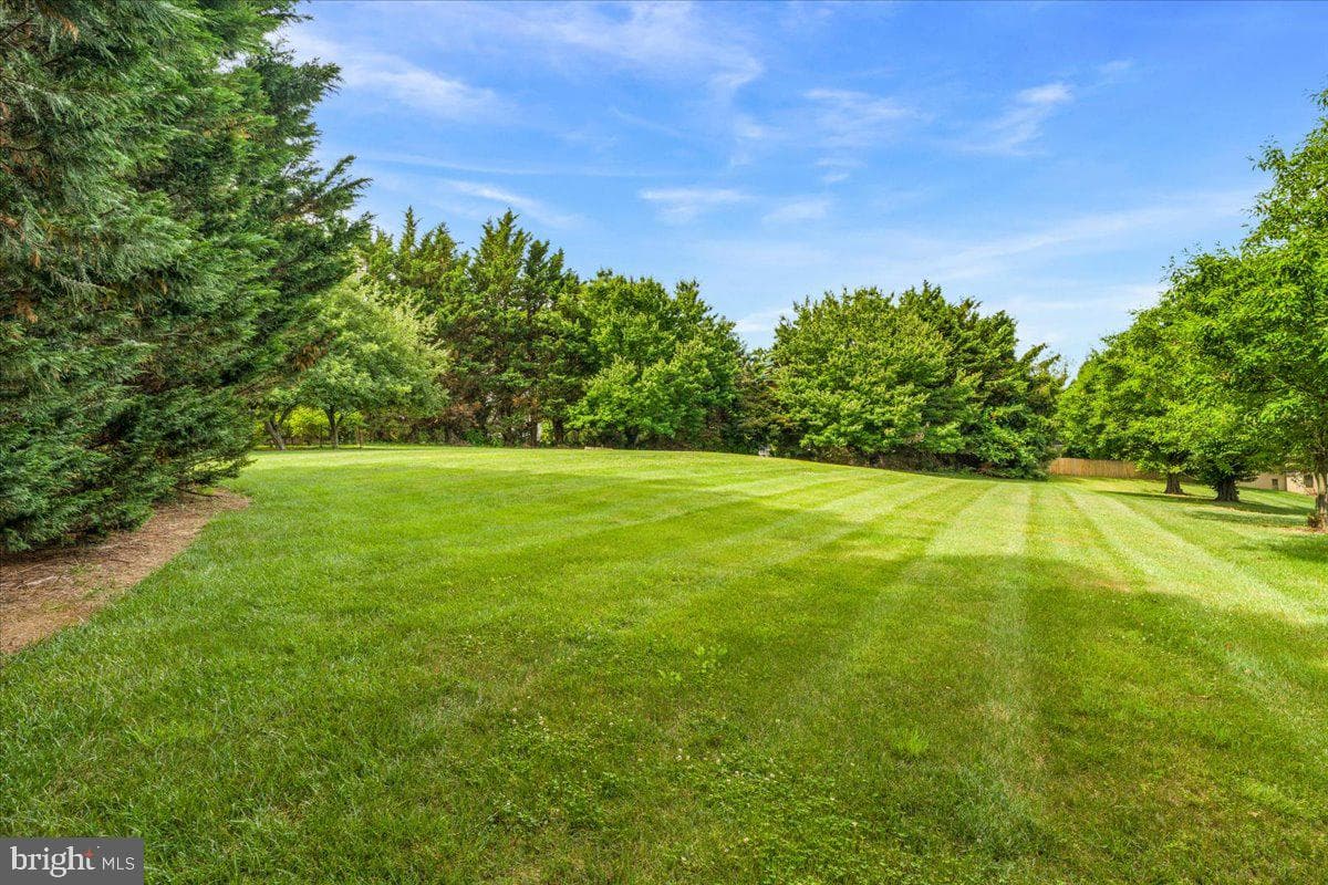4706 Hardwood Court photo 66