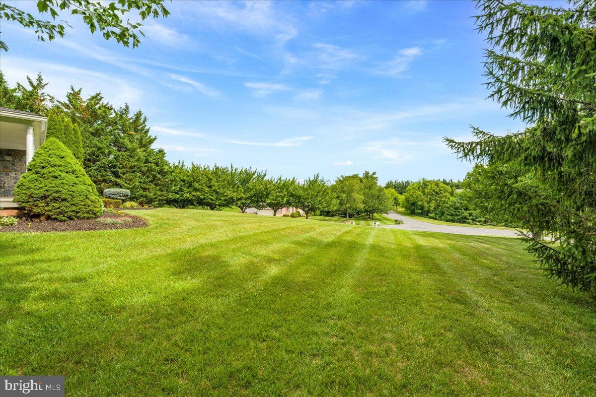 4706 Hardwood Court photo 68