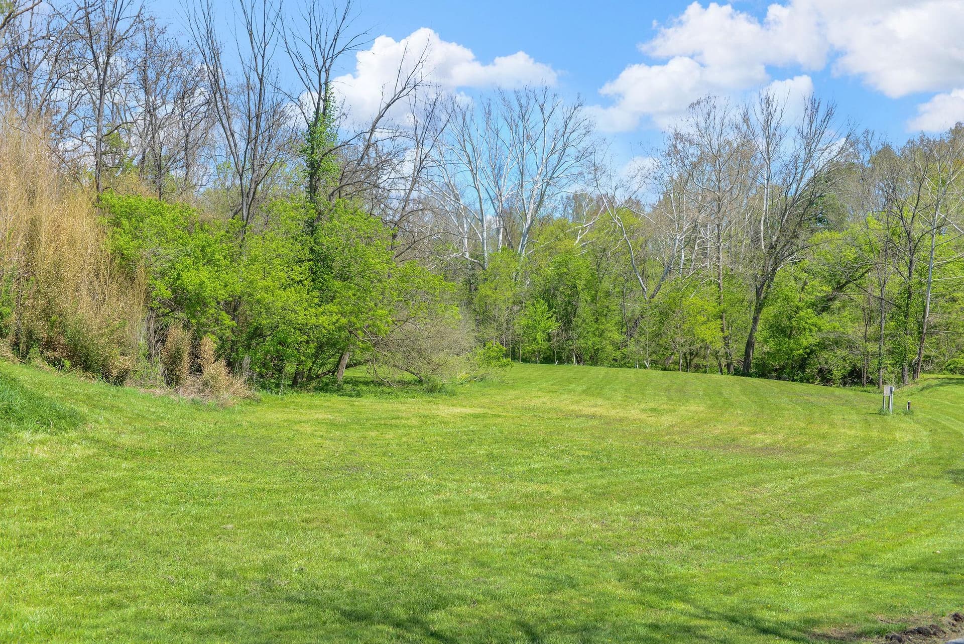 11346 Lorien Court photo 48