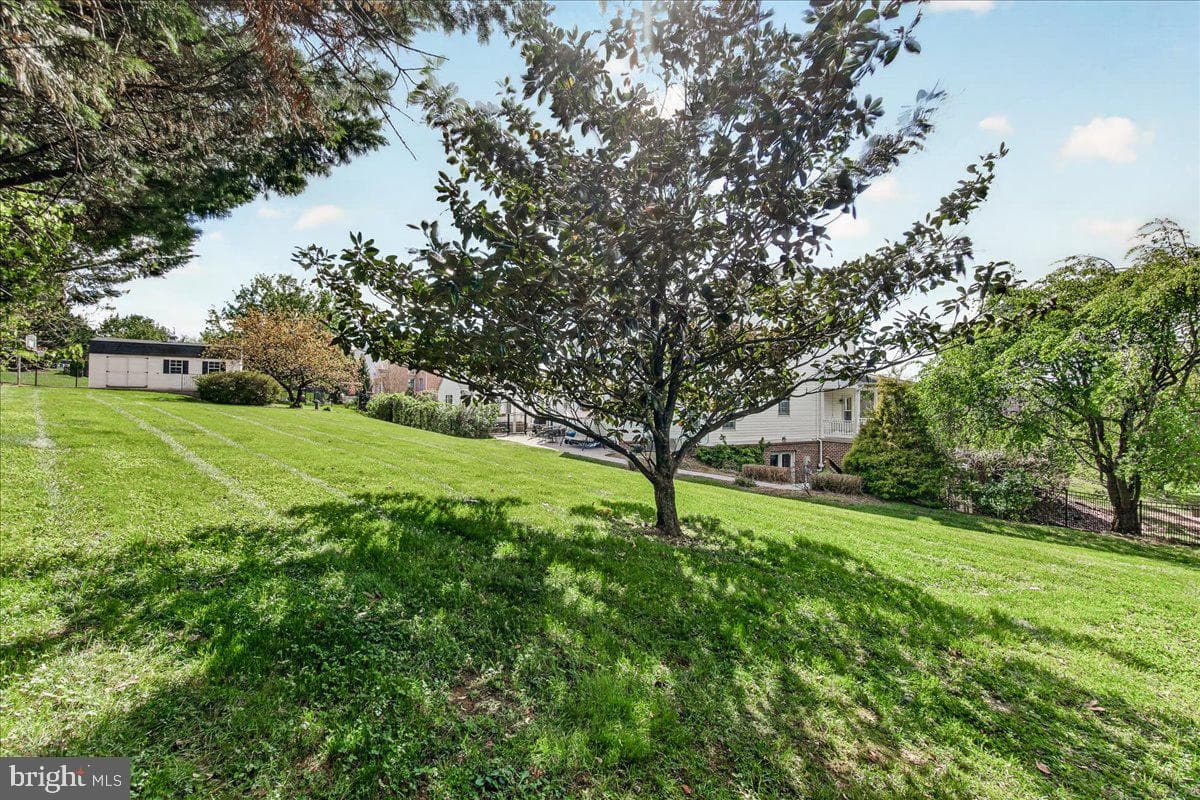 4813 Timber photo 67