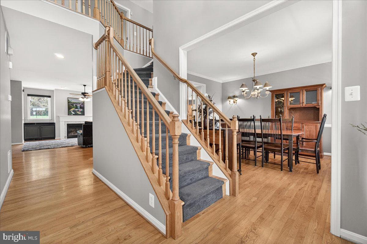 4813 Timber photo 7