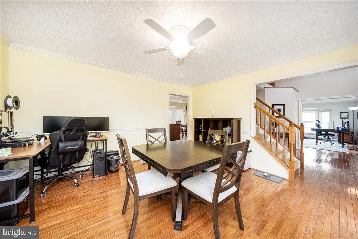 10651 Emmaline Drive photo 11