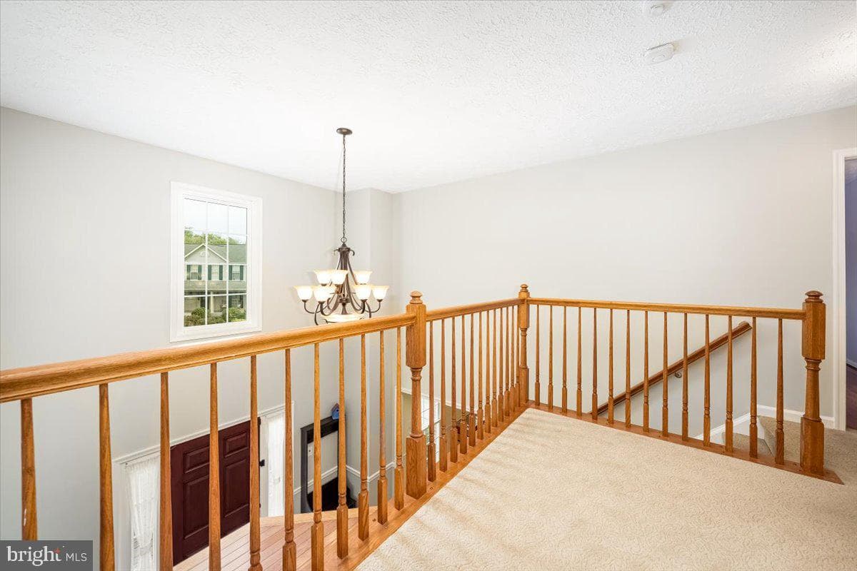10651 Emmaline Drive photo 25