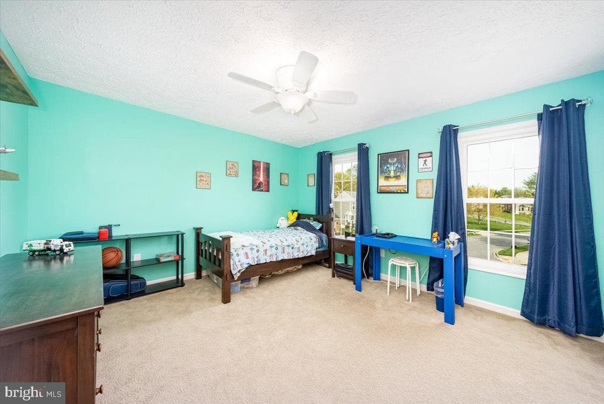 10651 Emmaline Drive photo 36