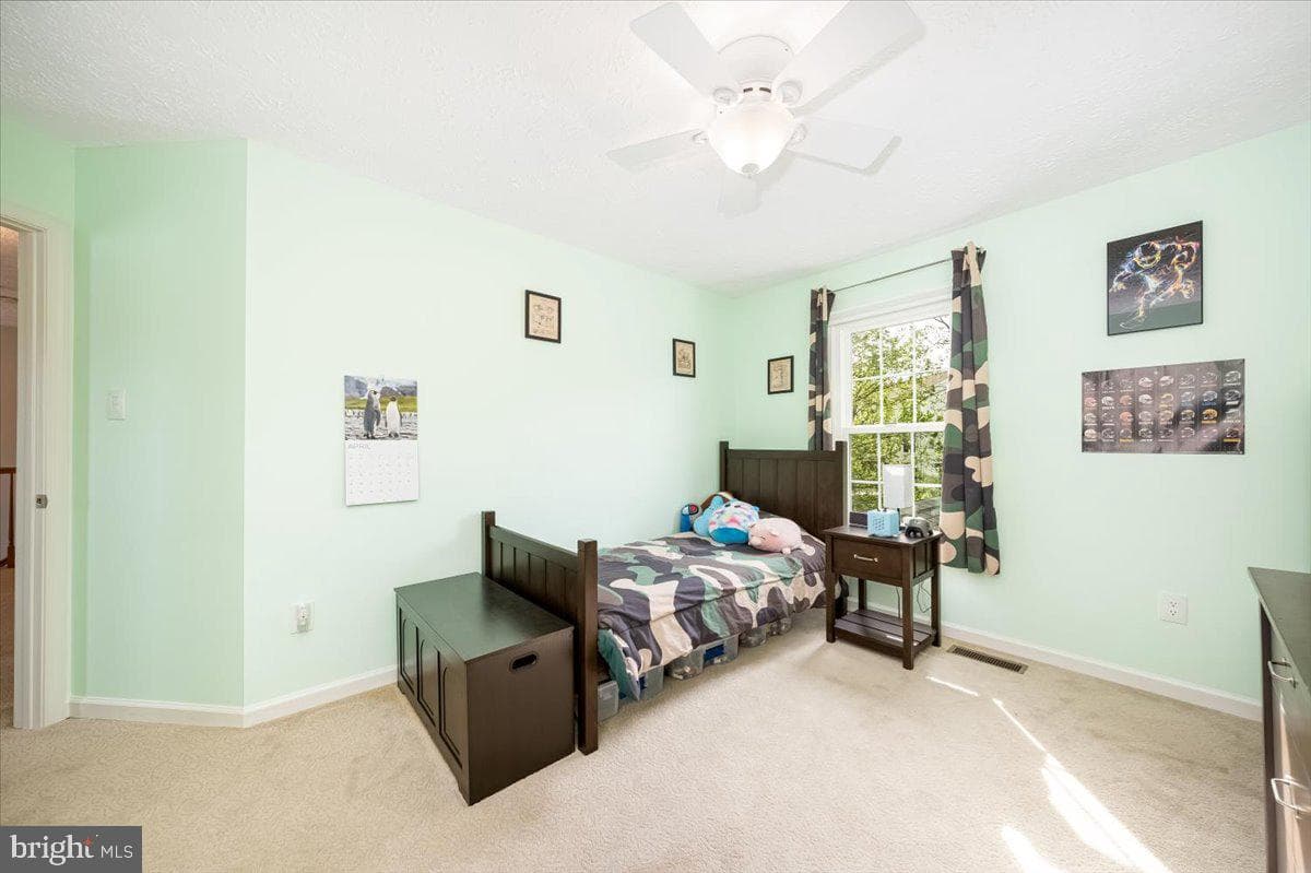 10651 Emmaline Drive photo 41