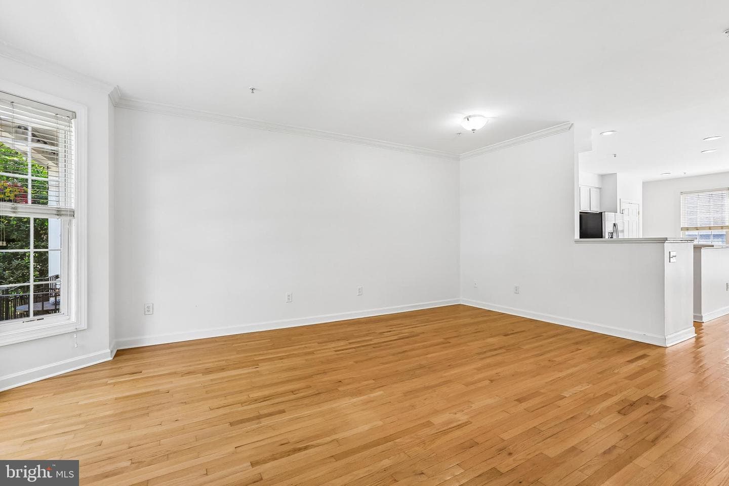 3645 Islington Street photo 10