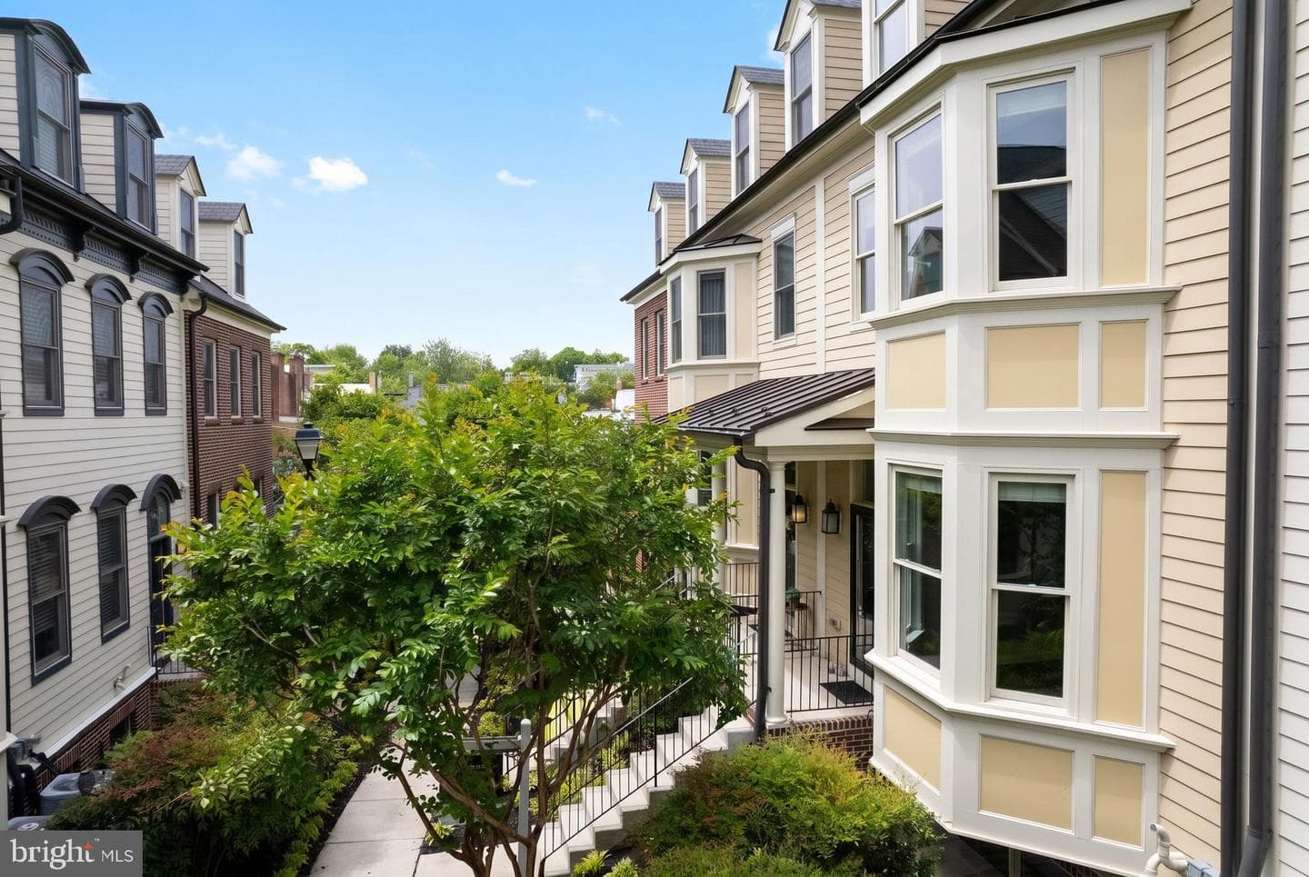 24 Maxwell Square photo 2