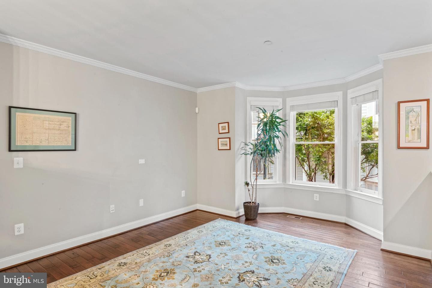 24 Maxwell Square photo 23