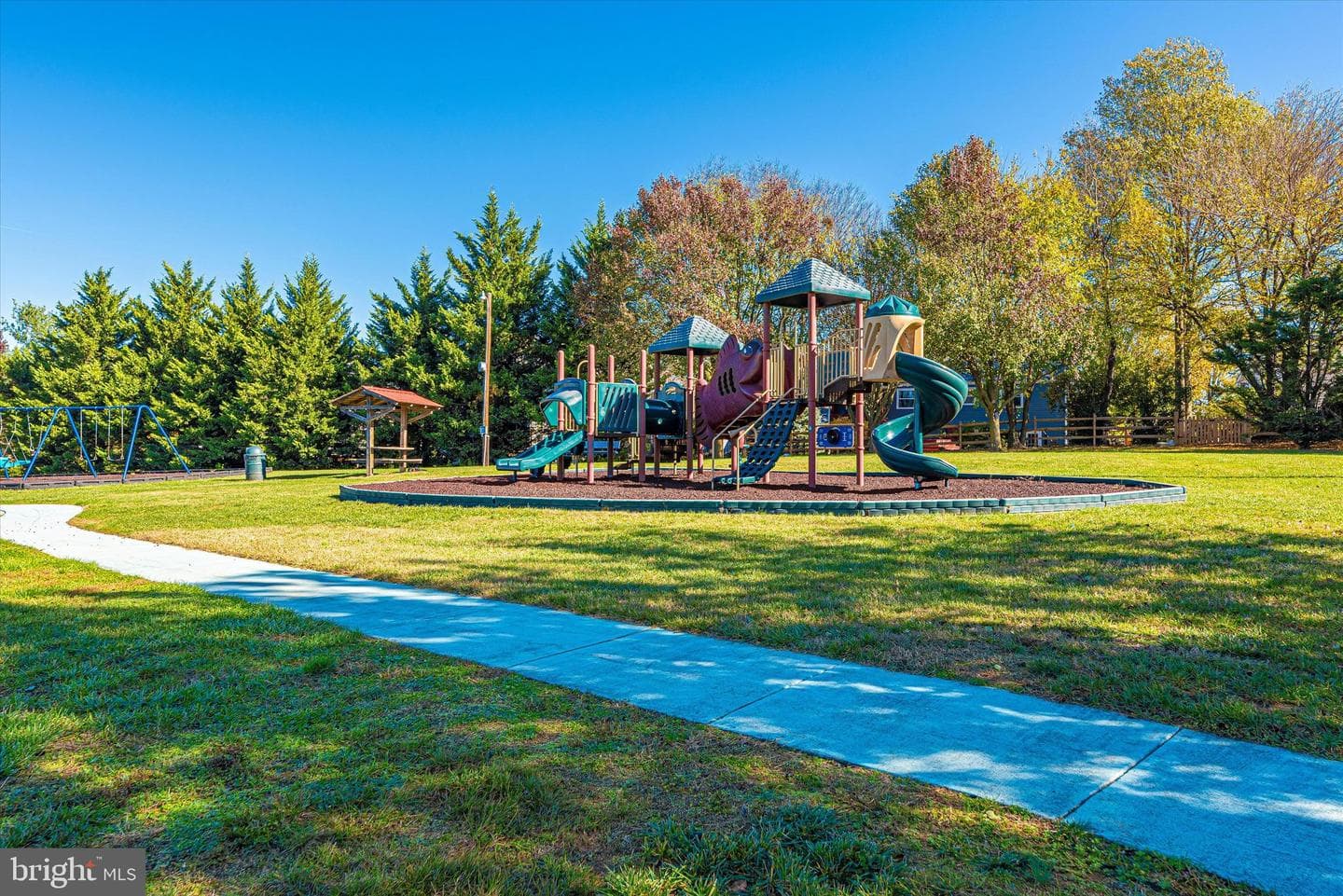 202 Swallow Falls Court photo 61