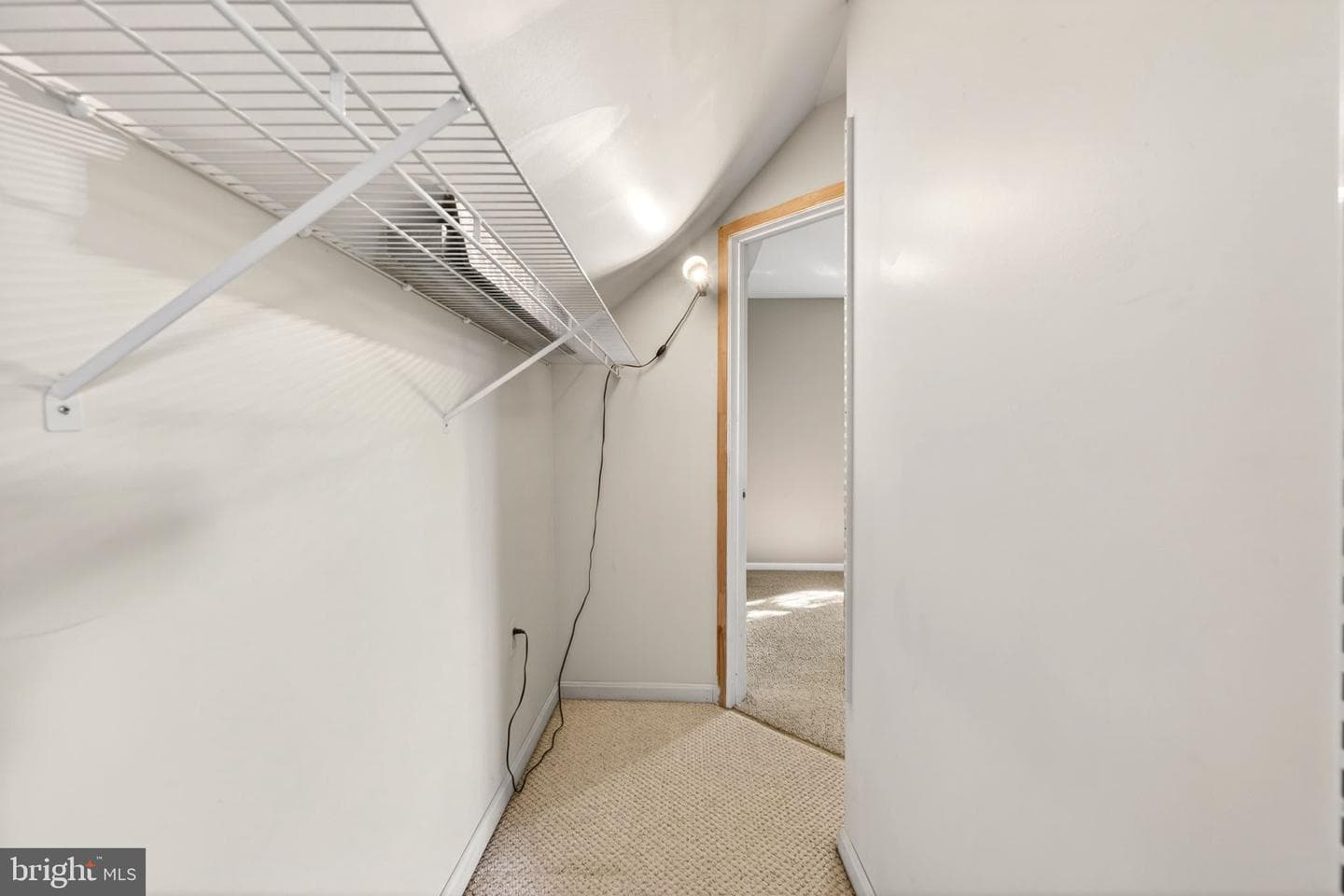 10743 Lake Edge Court photo 26