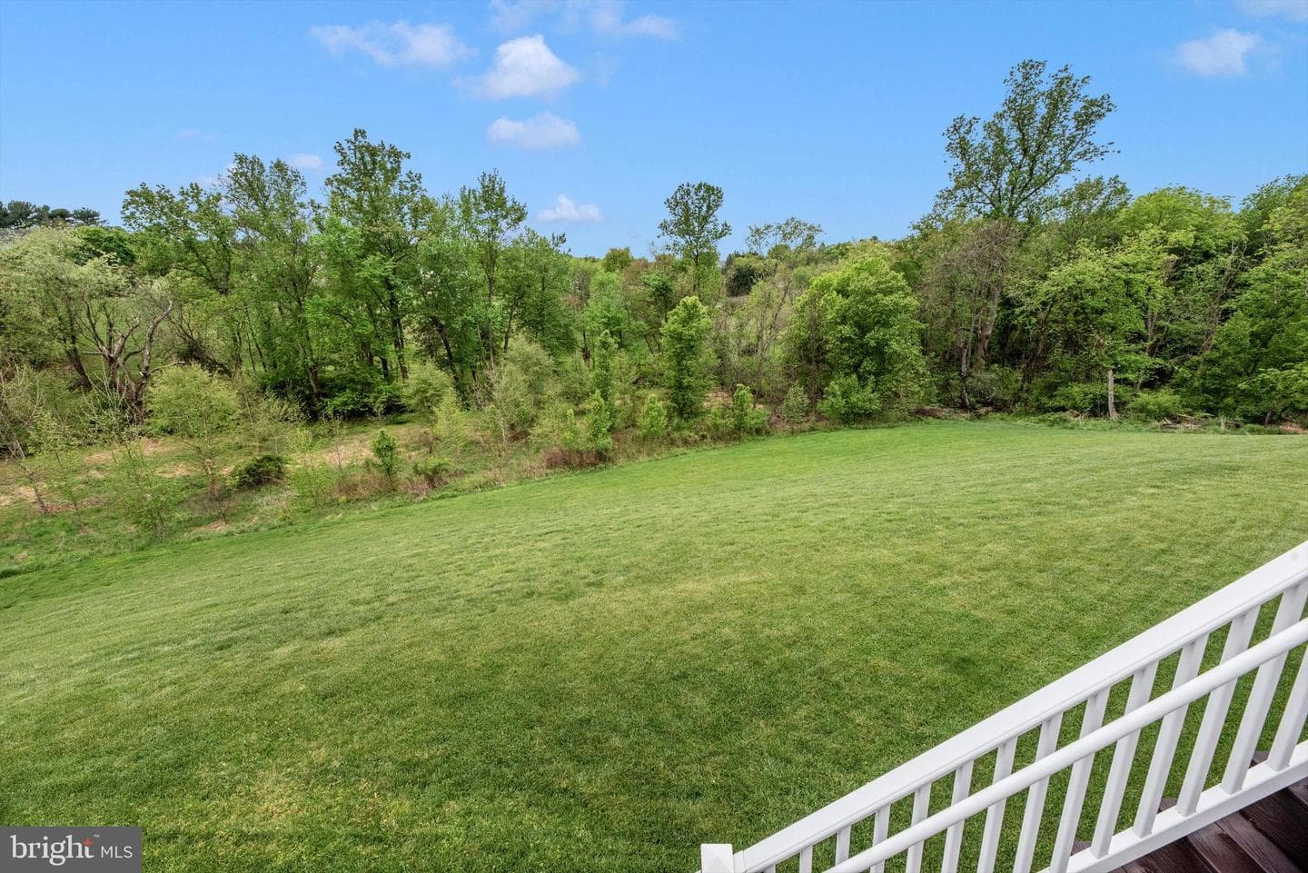 10377 Springside Terrace photo 45
