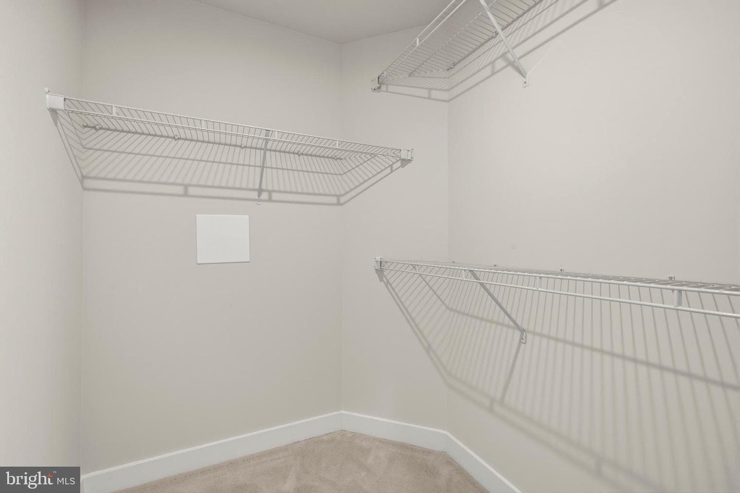 3411 Angelica #401 photo 26