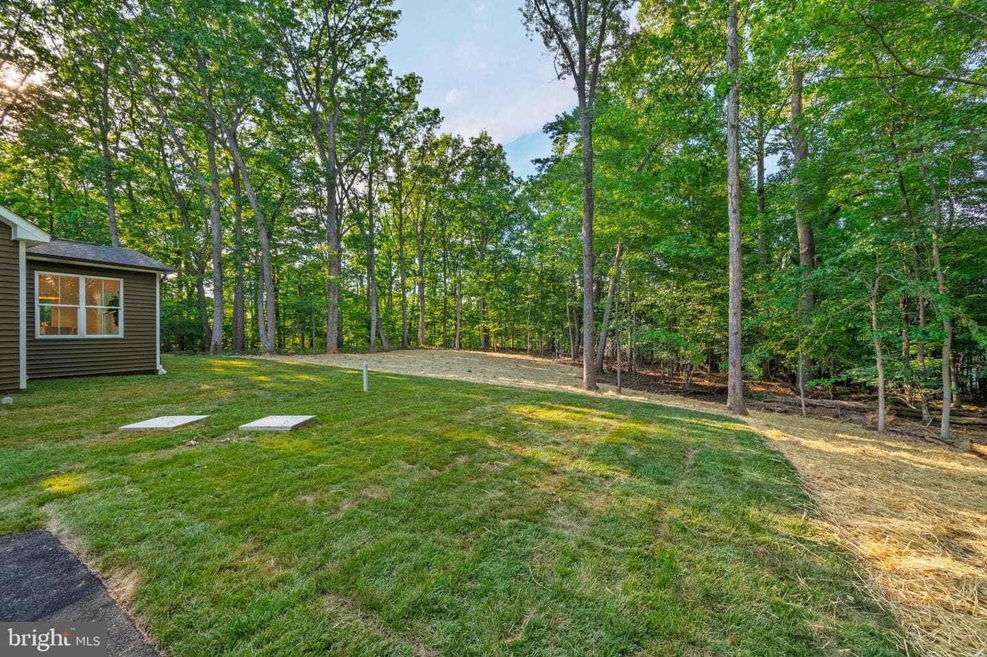 7616 Talbot Run Road photo 100