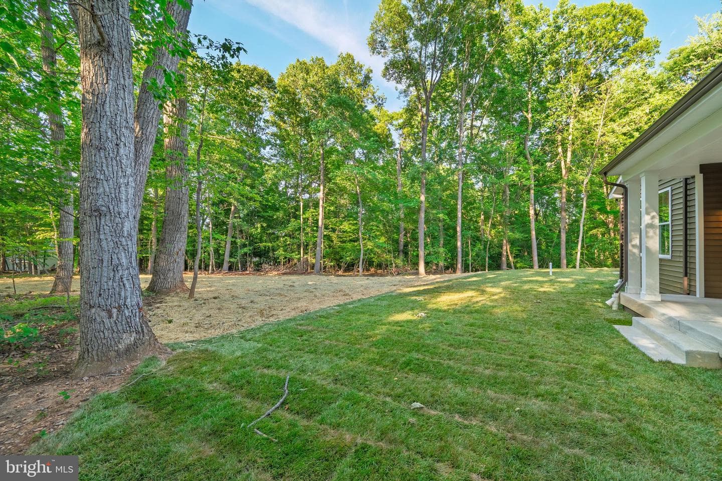 7616 Talbot Run Road photo 99