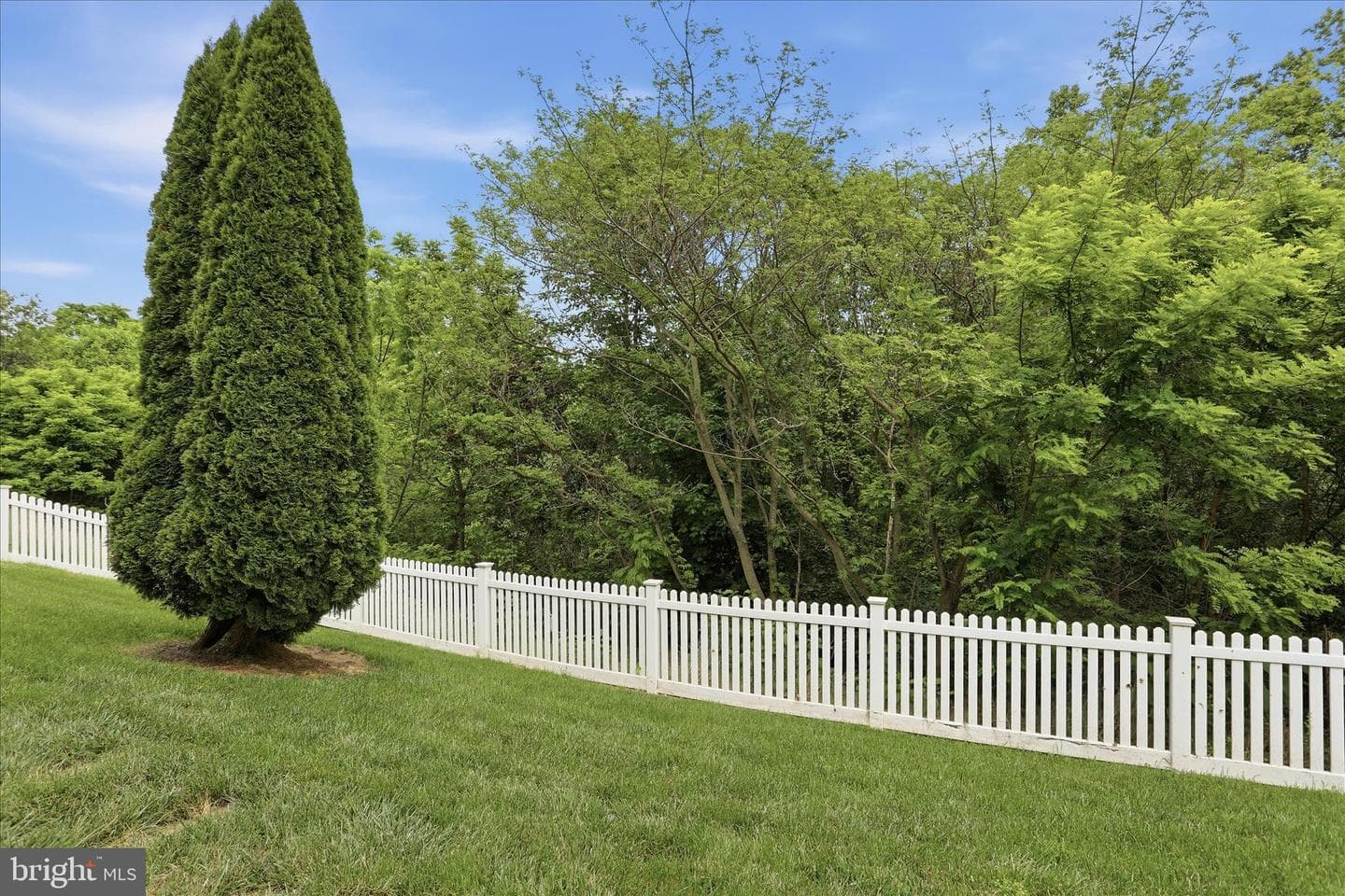 1304 Moore Spring Court photo 48