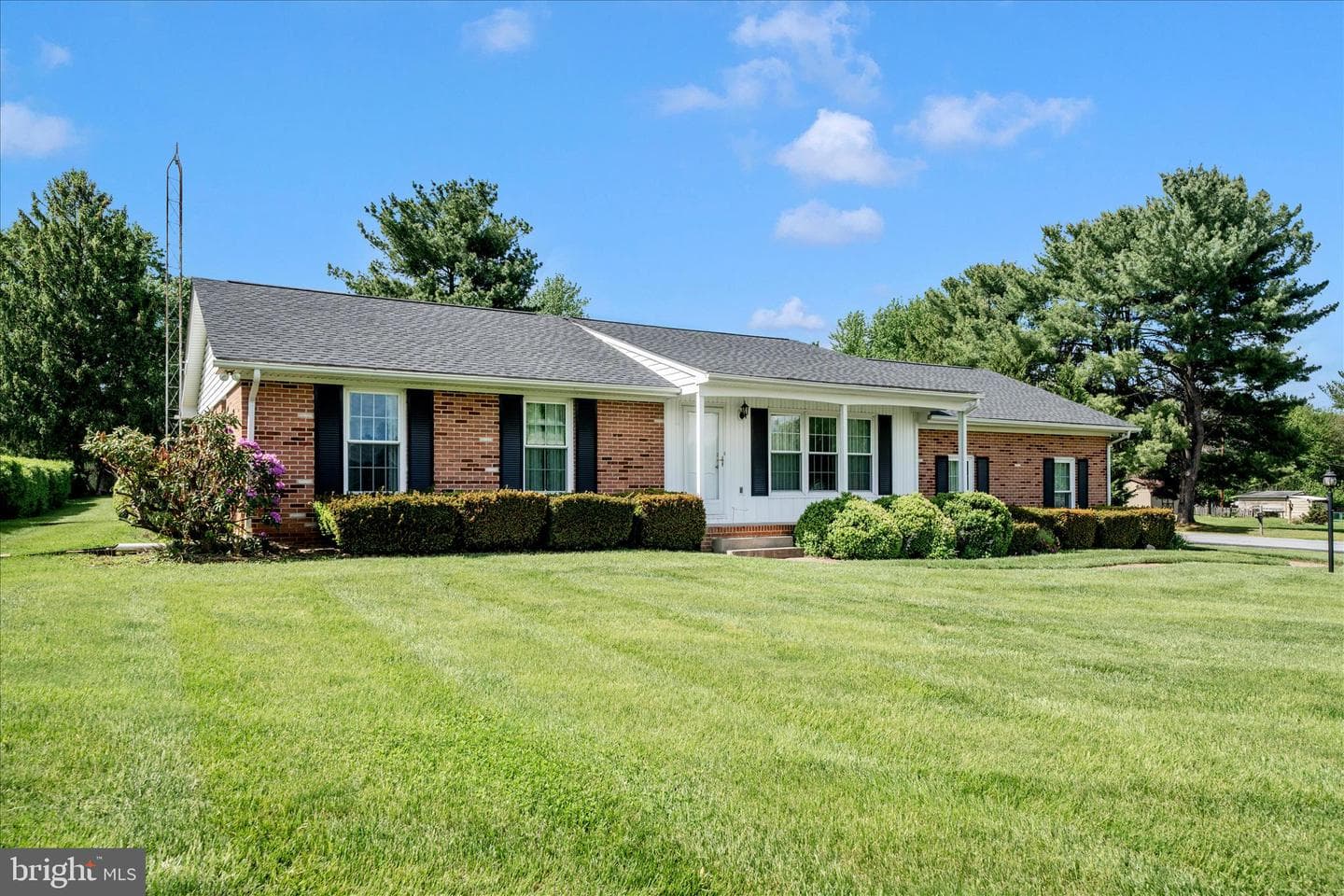 9496 Pocono Drive photo 54