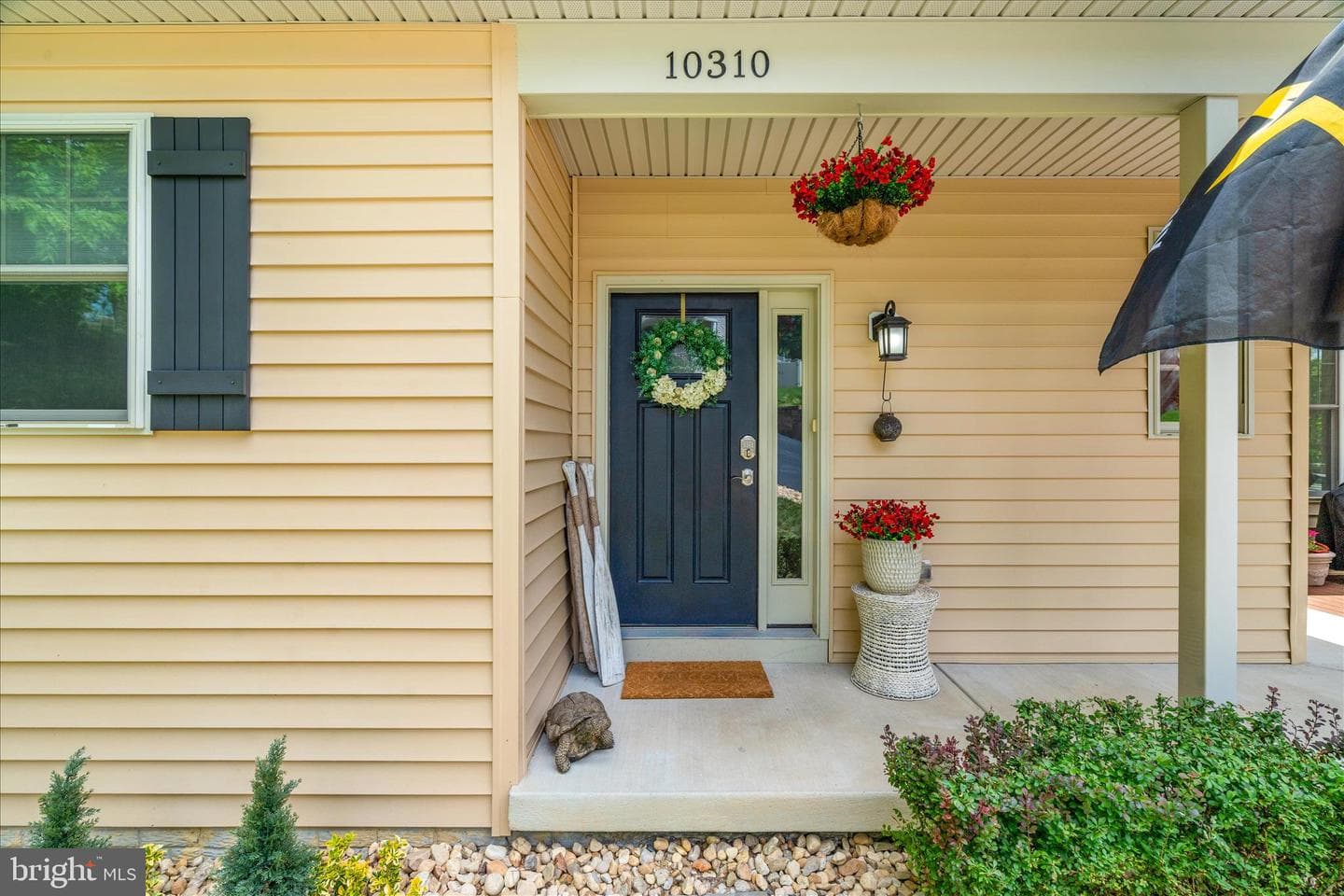 10310 Iliamna Court photo 3