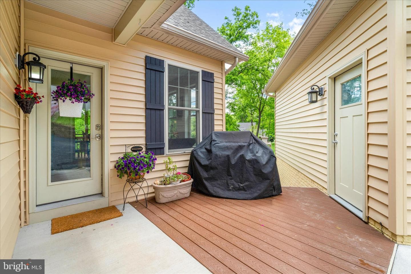 10310 Iliamna Court photo 4