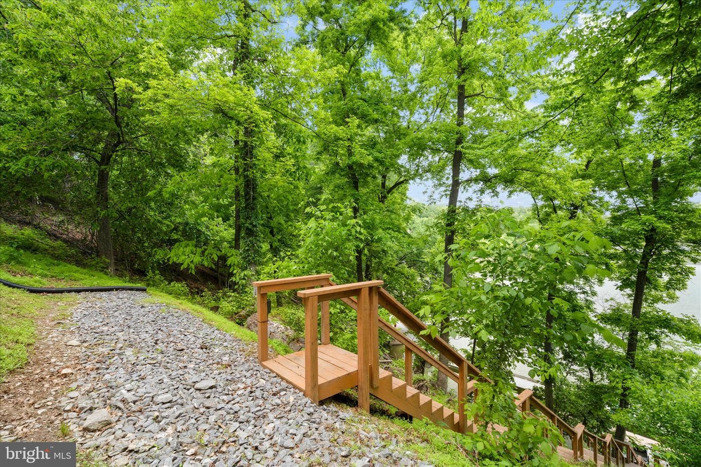 10310 Iliamna Court photo 64