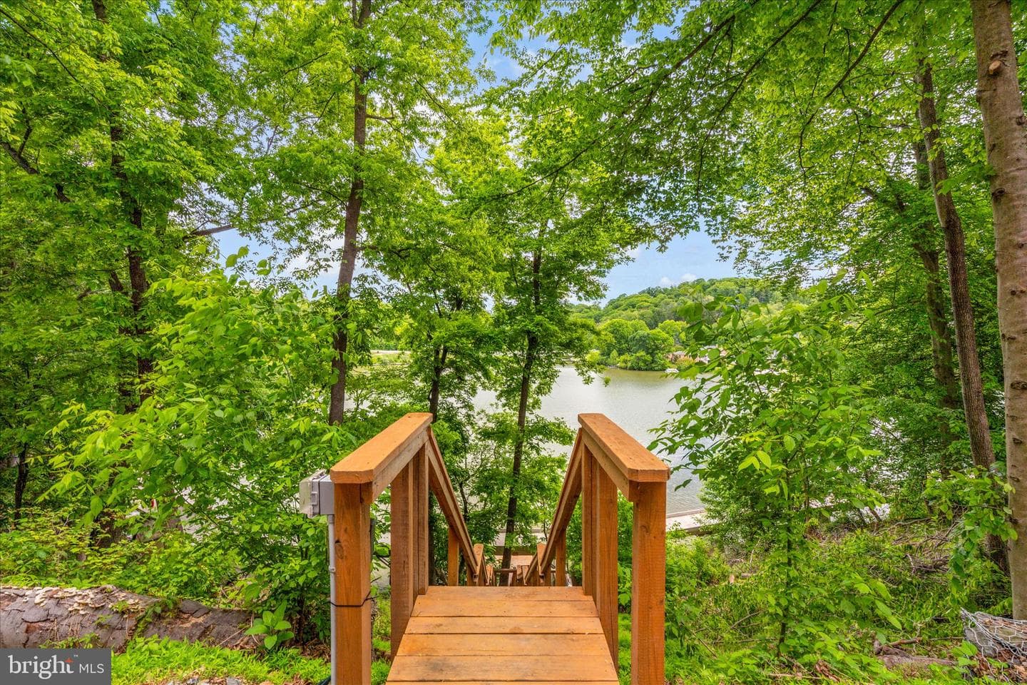10310 Iliamna Court photo 65