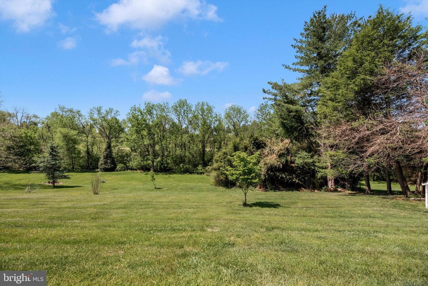 3465 Brethren Church Road photo 48