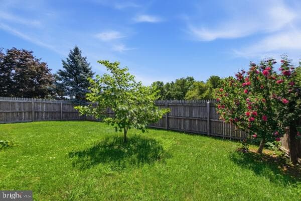 1 Adams Avenue Avenue photo 46