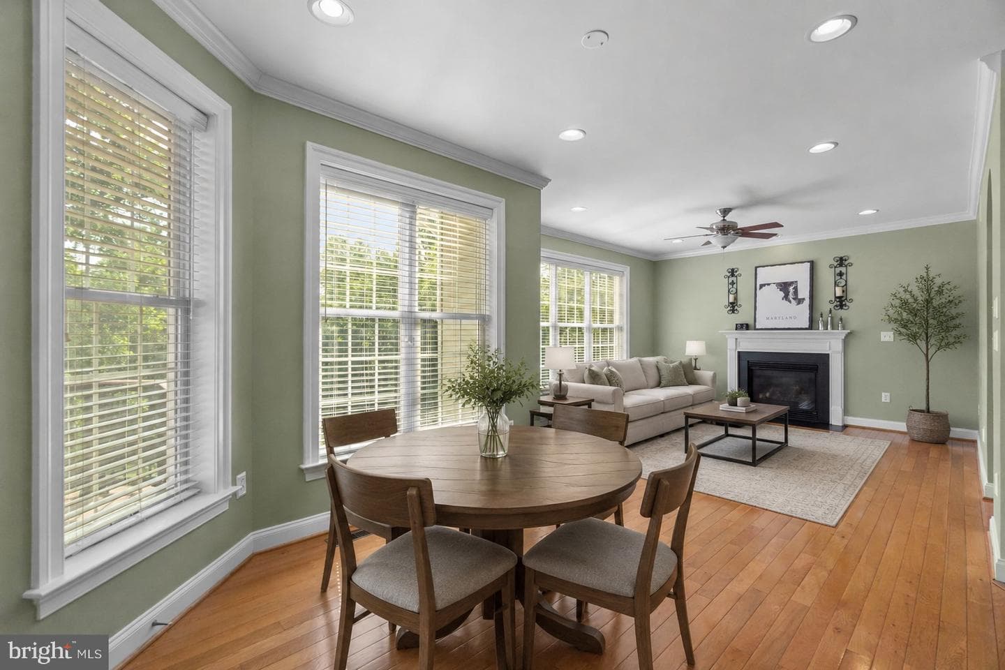 4229 Lafayette Street photo 21
