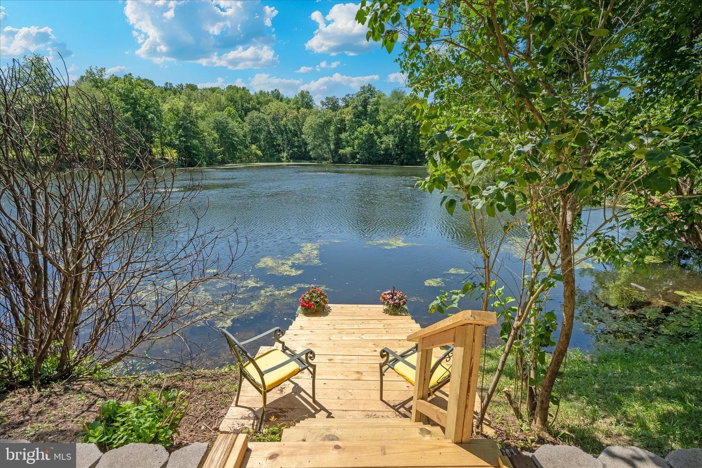 6594 Hemlock Point Road photo 3