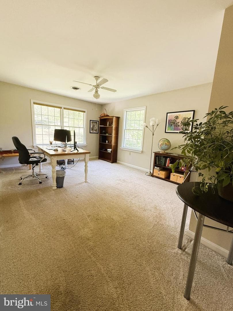 6849 Running Springs Court photo 42