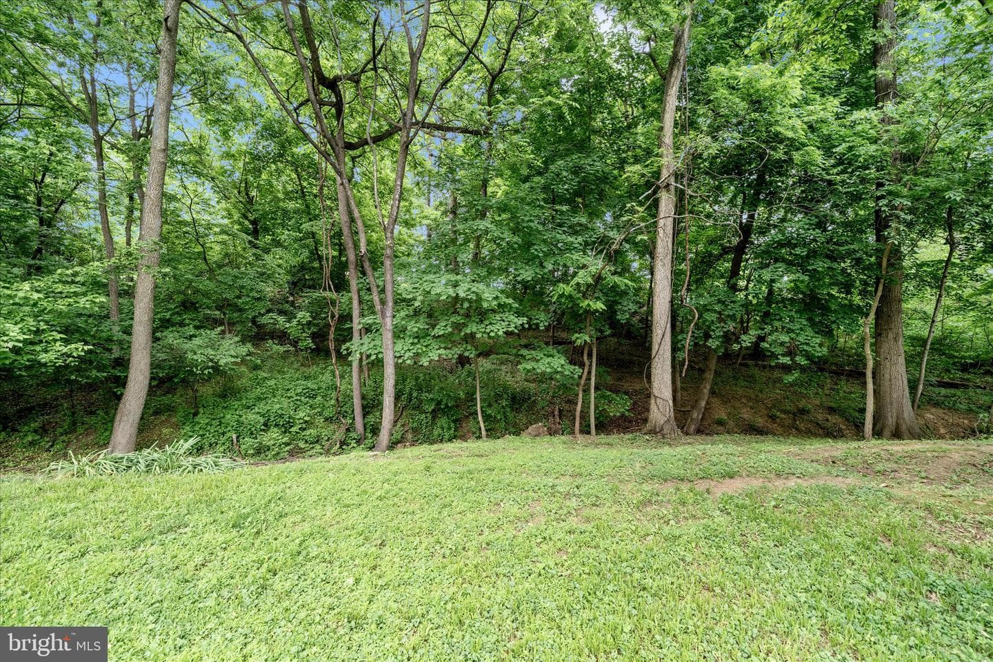 212 Wintergreen Lane photo 43