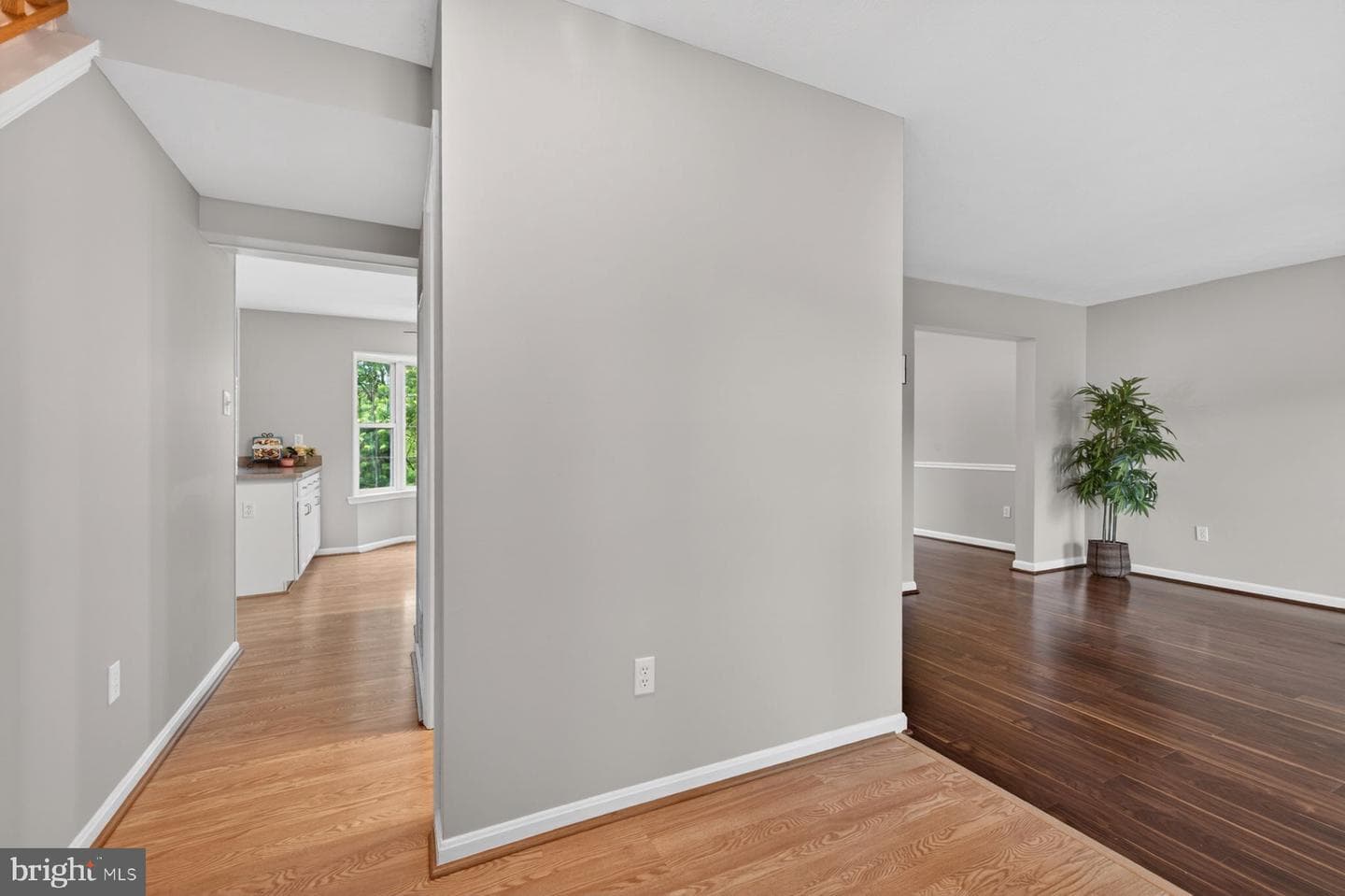 11132 Worchester Drive photo 3