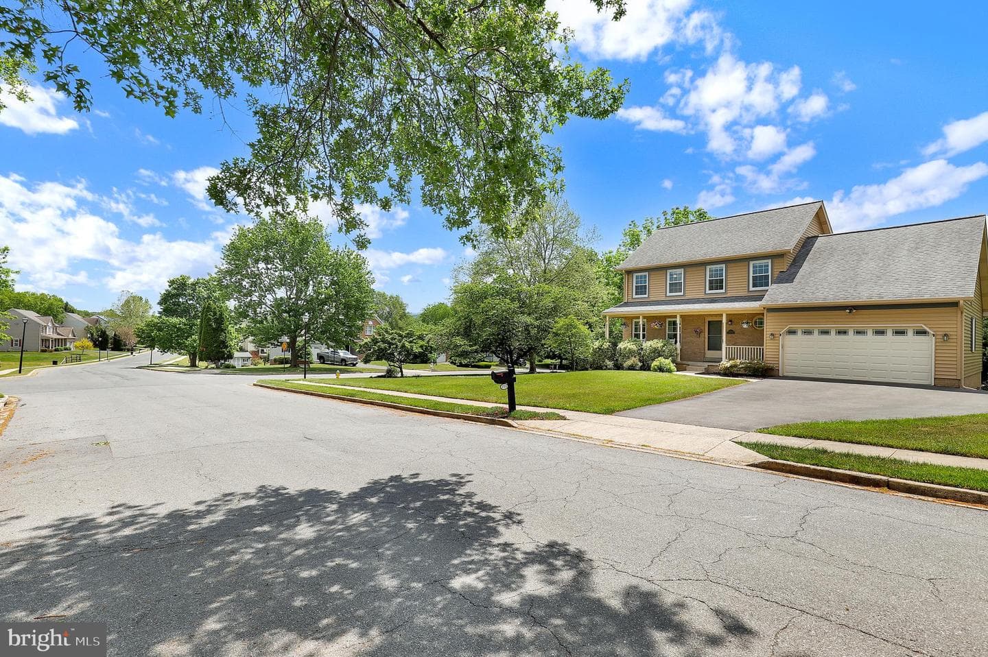 255 Braeburn Drive photo 3