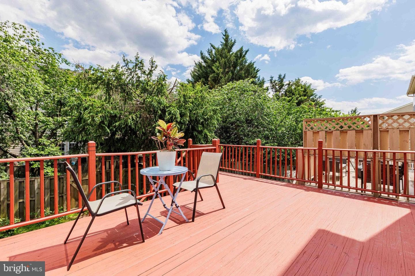 3638 Singleton Terrace photo 39