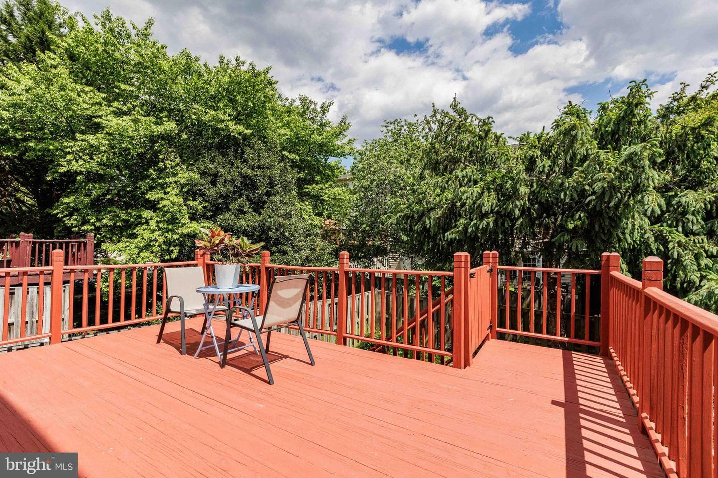 3638 Singleton Terrace photo 40