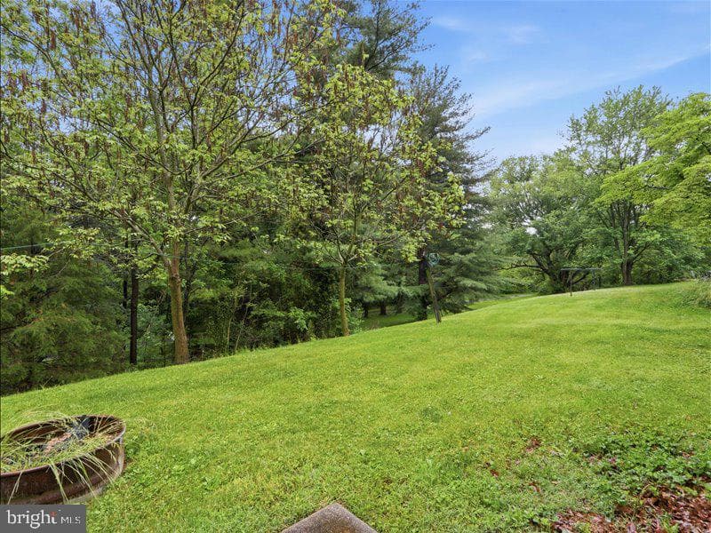 112 Locust Court photo 31