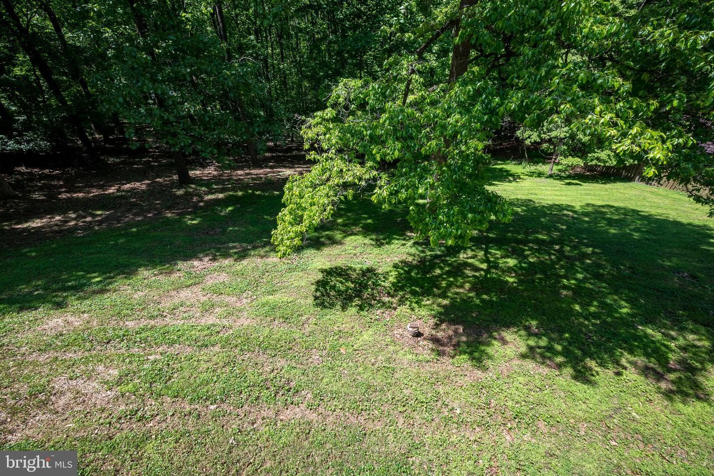 4420 Highboro Drive photo 50