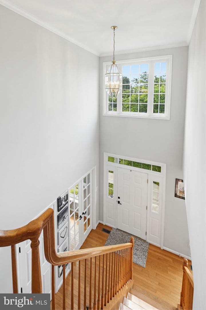 231 Cornell Drive photo 45