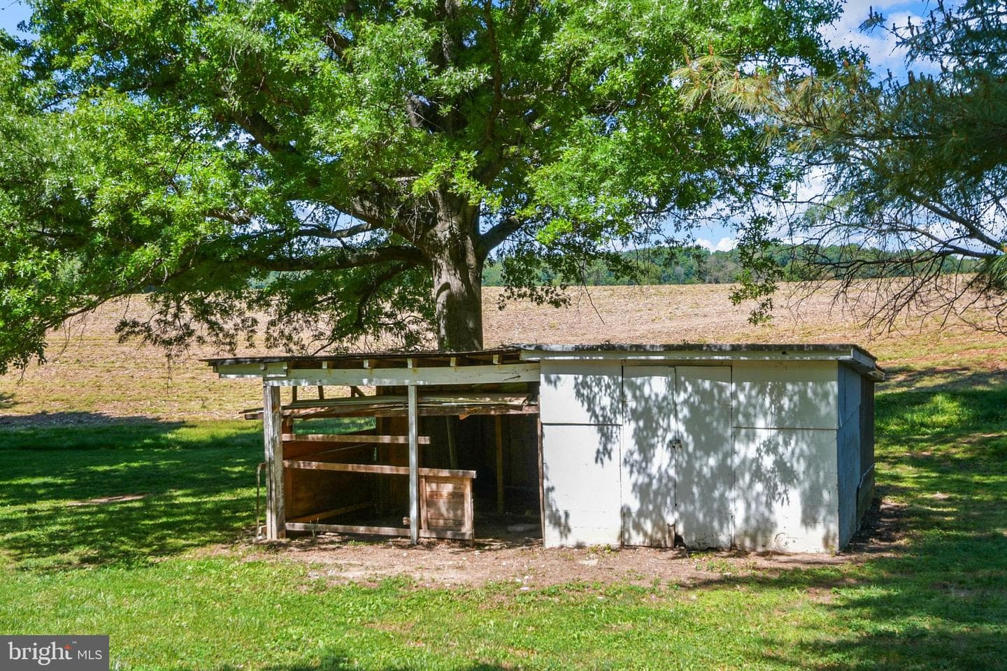 2528 Monocacy Bottom Road photo 54