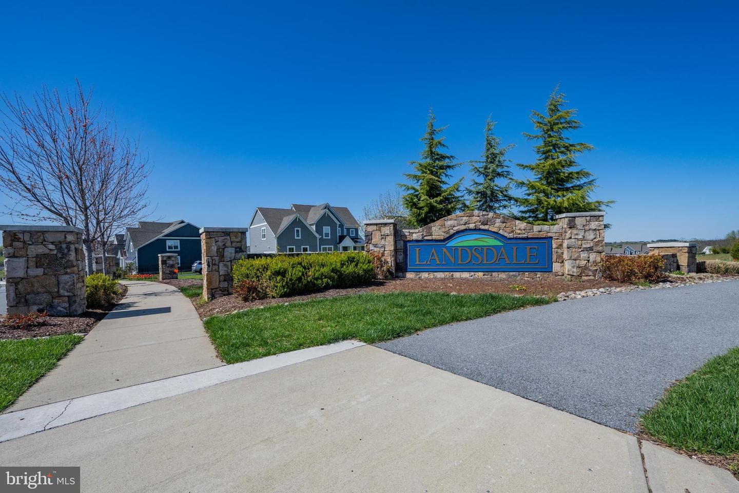 11058 Emerald Crown Drive photo 54