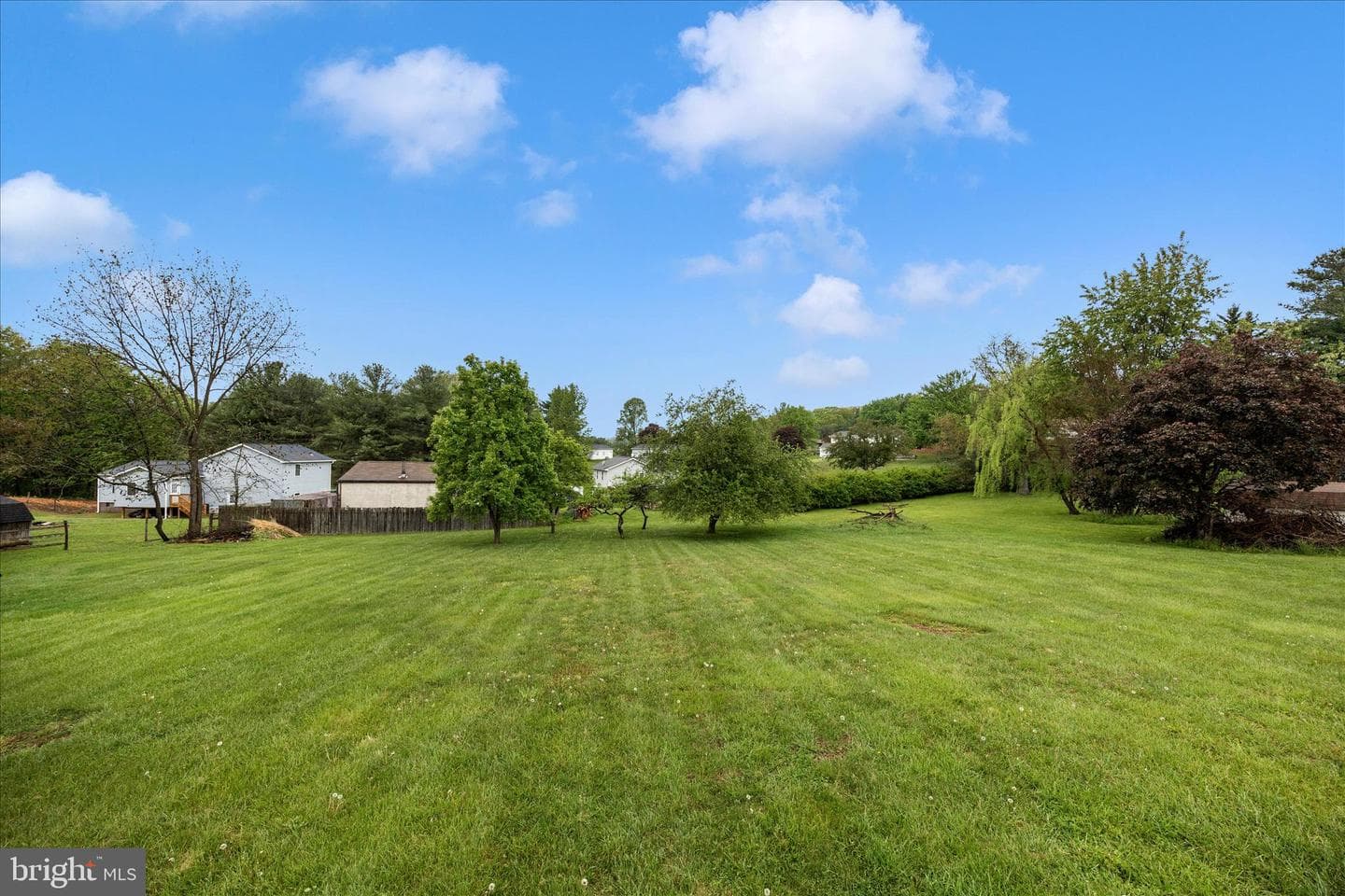 11005 Horseshoe Drive photo 49