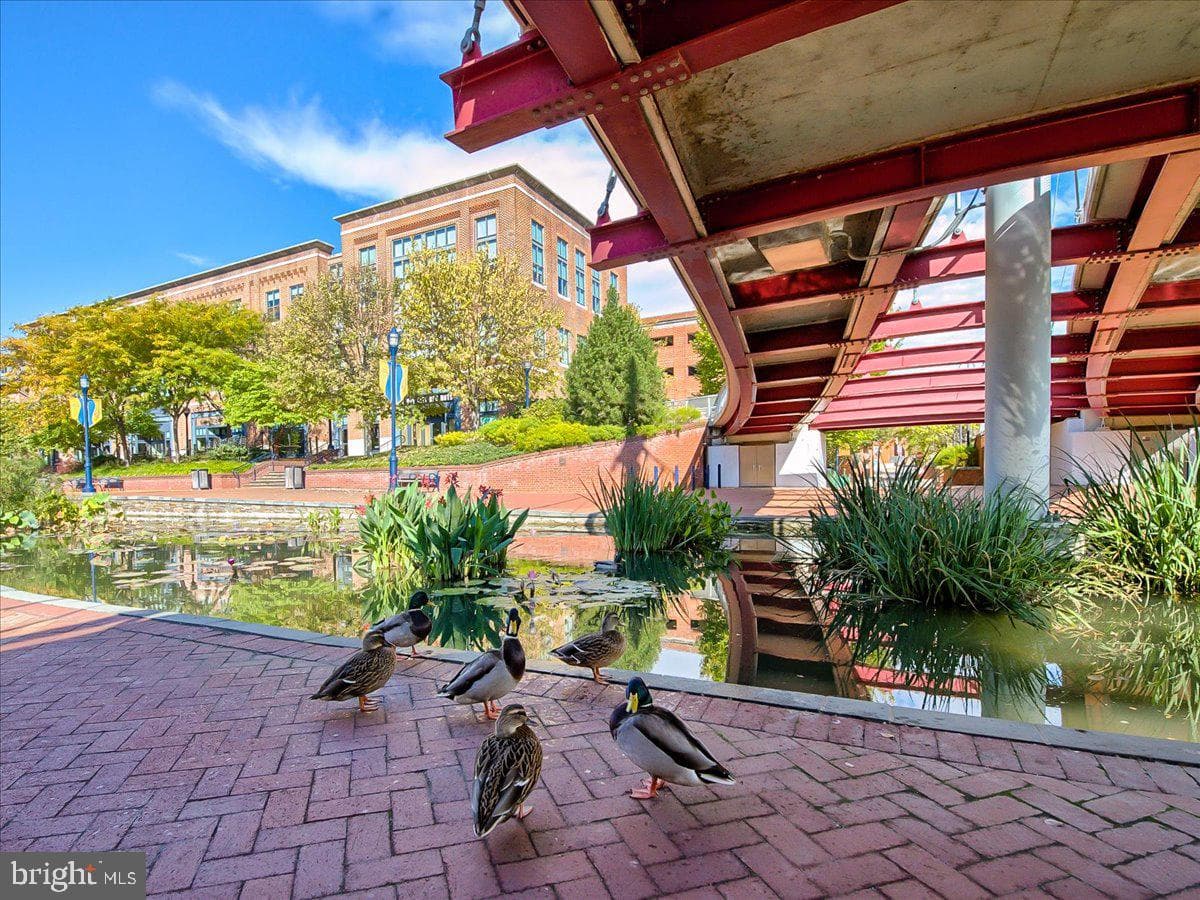 33 E South Street photo 61