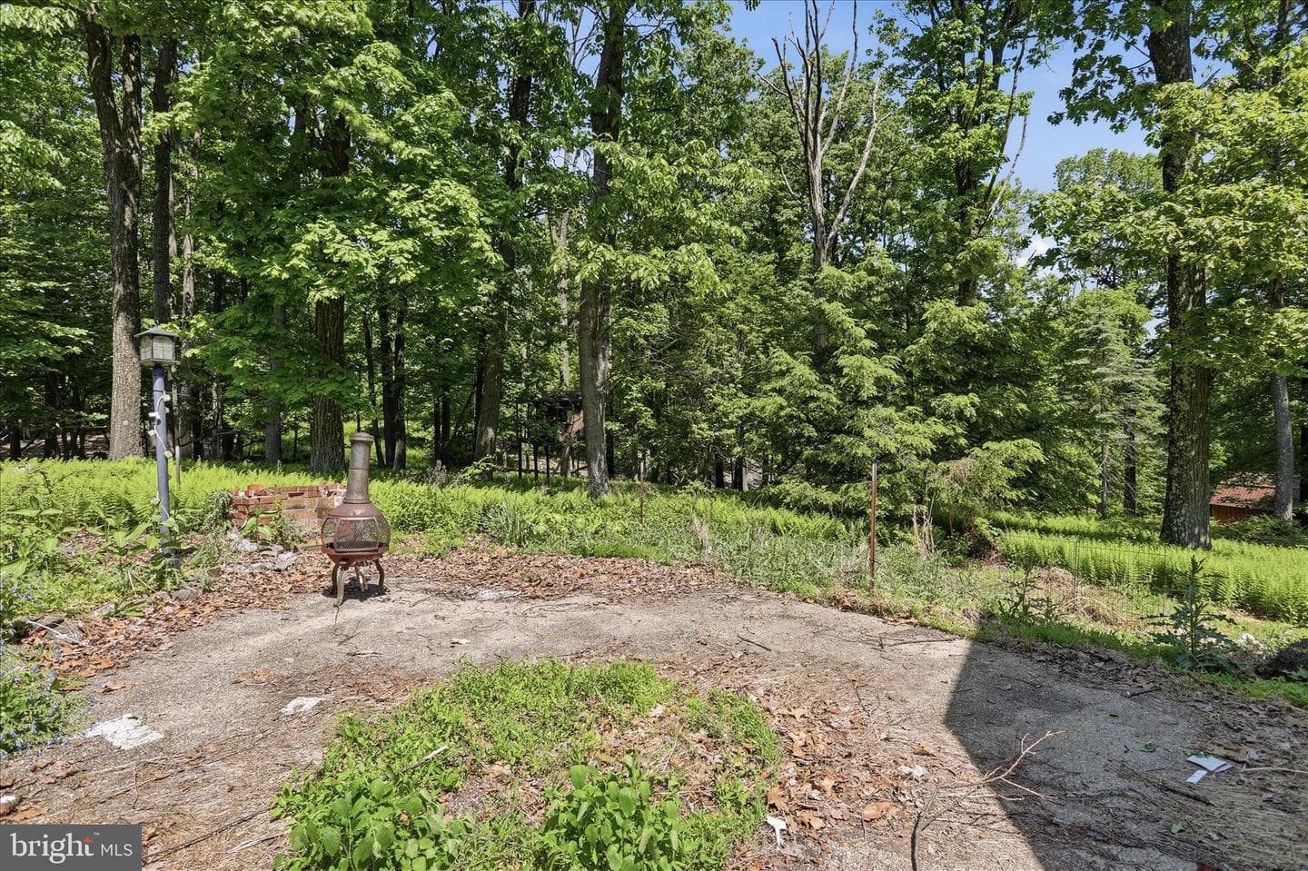8209 Gambrill Park Road photo 33