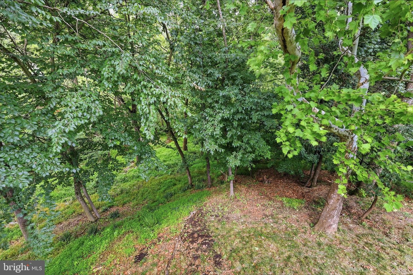 6714 Meadowlawn Circle photo 37
