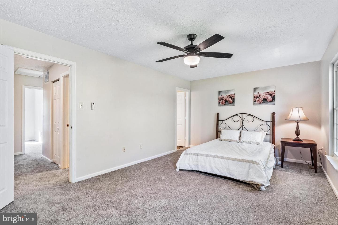 5066 Merganser Court photo 10