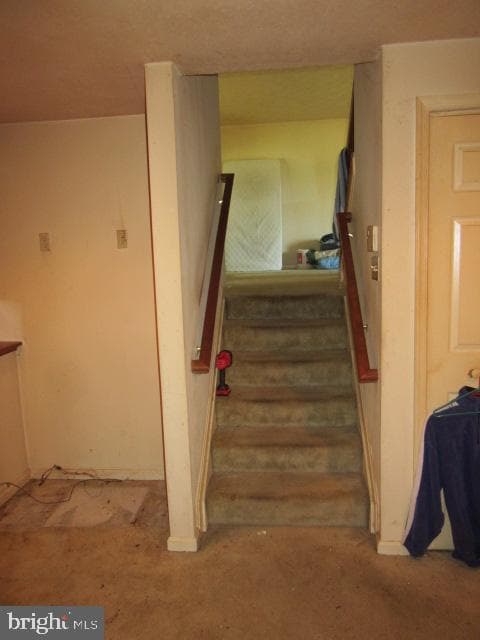2162 Collingwood Lane photo 19