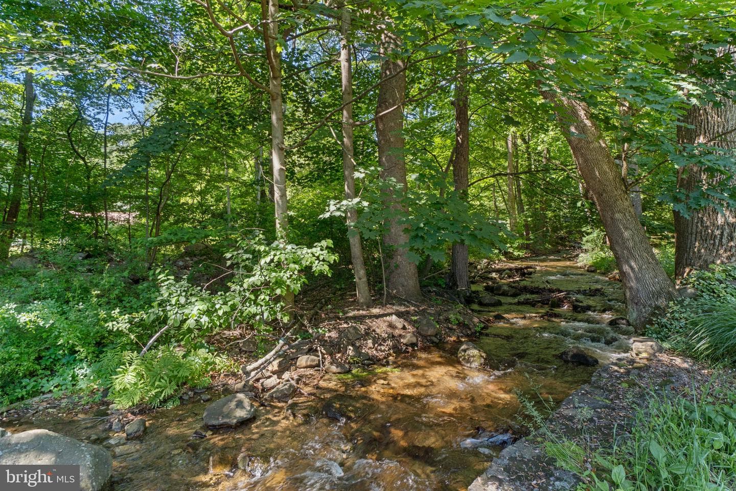 9126 Bethel Road photo 43