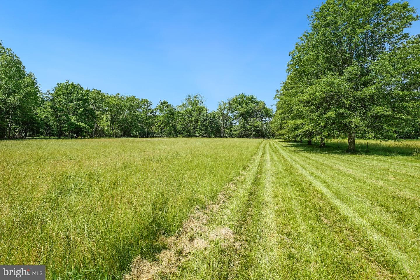 3388 Red Oak Court photo 49