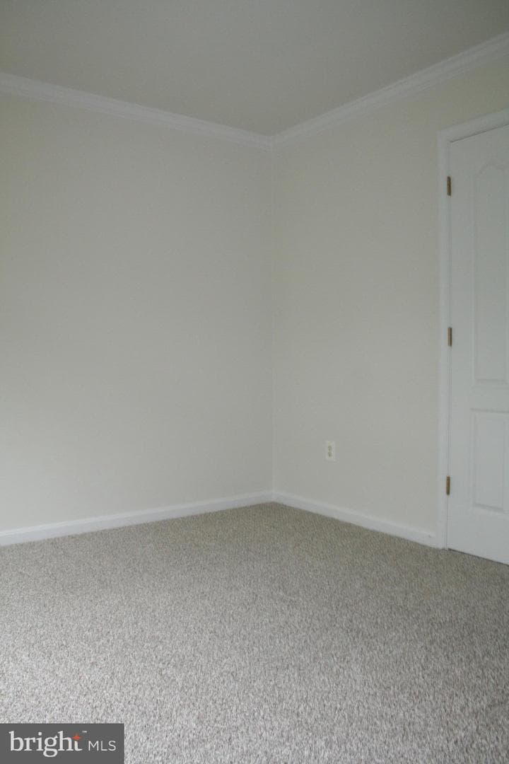 113 Whiskey Creek Circle photo 22
