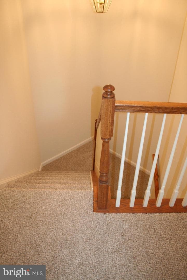 113 Whiskey Creek Circle photo 27